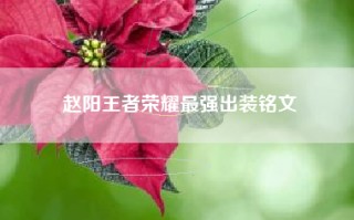 赵阳王者荣耀最强出装铭文