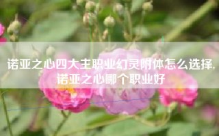 诺亚之心四大主职业幻灵附体怎么选择,诺亚之心哪个职业好