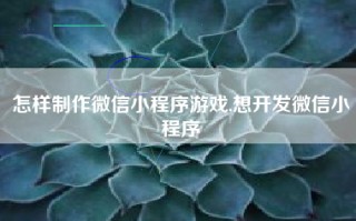 怎样制作微信小程序游戏,想开发微信小程序