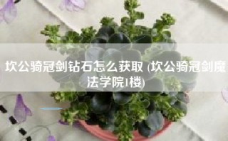 坎公骑冠剑钻石怎么获取 (坎公骑冠剑魔法学院1楼)