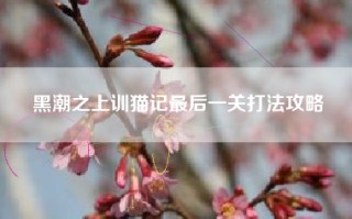 黑潮之上训猫记最后一关打法攻略