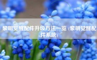 黎明觉醒配件升级方法一览 (黎明觉醒配件系统)
