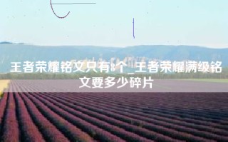 王者荣耀铭文只有8个_王者荣耀满级铭文要多少碎片