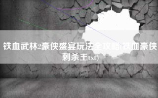 铁血武林2豪侠盛宴玩法全攻略(铁血豪侠刺杀王txt)