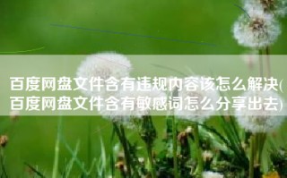百度网盘文件含有违规内容该怎么解决(百度网盘文件含有敏感词怎么分享出去)