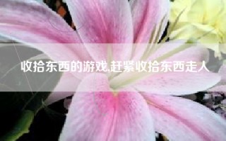 收拾东西的游戏,赶紧收拾东西走人