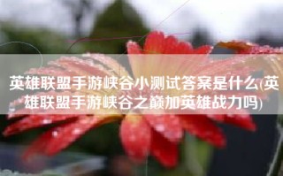 英雄联盟手游峡谷小测试答案是什么(英雄联盟手游峡谷之巅加英雄战力吗)