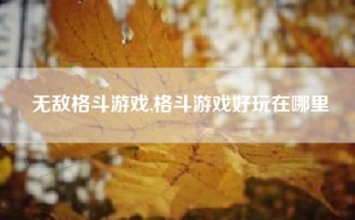 无敌格斗游戏,格斗游戏好玩在哪里