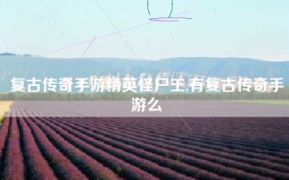 复古传奇手游精英怪尸王,有复古传奇手游么