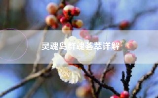 灵魂岛群魂荟萃详解