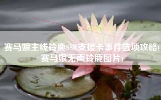 赛马娘主线铃鹿SSR支援卡事件选项攻略(赛马娘无声铃鹿图片)