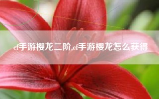 cf手游樱龙二阶,cf手游樱龙怎么获得