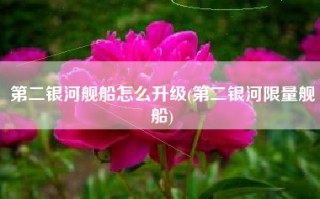 第二银河舰船怎么升级(第二银河限量舰船)