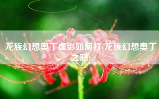 龙族幻想奥丁虚影如何打(龙族幻想奥丁之怒)
