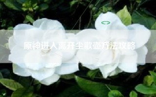 原神进入离开尘歌壶方法攻略