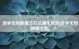 造梦无双鹏魔王打法通关攻略(造梦无双鹏魔王蛋)