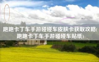 跑跑卡丁车手游碰碰车皮肤卡获取攻略(跑跑卡丁车手游碰碰车贴纸)