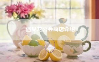 遇见龙公会商店介绍