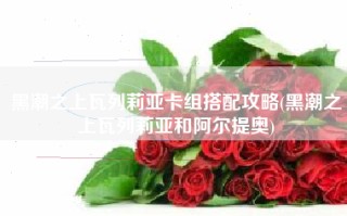 黑潮之上瓦列莉亚卡组搭配攻略(黑潮之上瓦列莉亚和阿尔提奥)