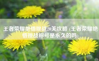王者荣耀绝悟挑战20关攻略 (王者荣耀绝悟挑战称号是永久的吗)