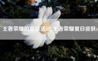 王者荣耀的夏日活动(王者荣耀夏日皮肤)