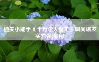 通关小能手《十万个大魔王》瞬间爆发实力强[多图]