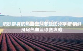 肥鹅健身房热血篮球赛玩法分享(肥鹅健身房热血篮球赛攻略)