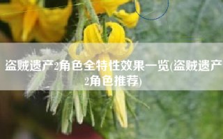 盗贼遗产2角色全特性效果一览(盗贼遗产2角色推荐)