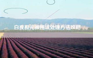 白夜极光被围攻处理方法攻略