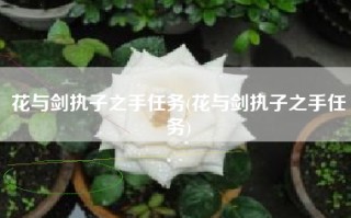 花与剑执子之手任务(花与剑执子之手任务)