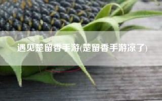 遇见楚留香手游(楚留香手游凉了)