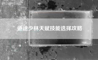 道途少林天赋技能选择攻略