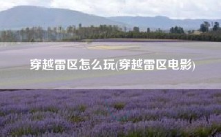 穿越雷区怎么玩(穿越雷区电影)