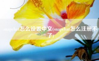 snapchat怎么设置中文(snapchat怎么注册不了)