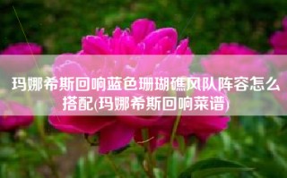 玛娜希斯回响蓝色珊瑚礁风队阵容怎么搭配(玛娜希斯回响菜谱)