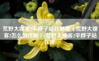 荒野大镖客2平脖子站在哪里（荒野大镖客2怎么制作箭）(荒野大镖客2平脖子站在哪)
