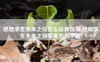 绝地求生未来之役怎么设置国旗(绝地求生未来之役苹果怎么下载)