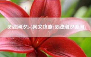 灵魂潮汐1-5图文攻略(灵魂潮汐美图)
