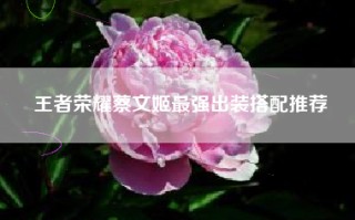 王者荣耀蔡文姬最强出装搭配推荐