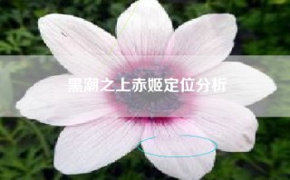 黑潮之上赤姬定位分析