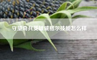 守望奇兵英雄威格尔技能怎么样