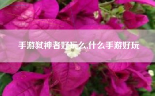 手游弑神者好玩么,什么手游好玩