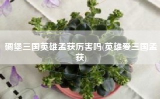 碉堡三国英雄孟获厉害吗(英雄爱三国孟获)