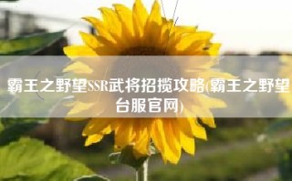 霸王之野望SSR武将招揽攻略(霸王之野望台服官网)