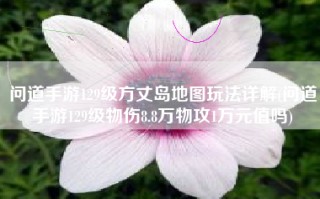 问道手游129级方丈岛地图玩法详解(问道手游129级物伤8.8万物攻1万元值吗)
