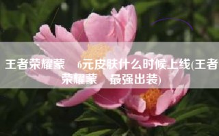 王者荣耀蒙犽6元皮肤什么时候上线(王者荣耀蒙犽最强出装)