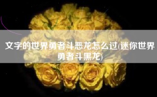 文字的世界勇者斗恶龙怎么过(迷你世界勇者斗黑龙)