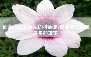 部落方最多玩家的种族是(部落冲突战星最多的玩家)