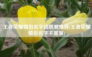 王者荣耀情侣名字超恩爱推荐(王者荣耀情侣名字不重复)