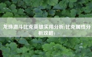 龙珠激斗比克英雄实用分析(比克属性分析攻略)